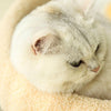 MiauHafen Nest – Stilvolles Katzenbett Mit Kratzfläche Und Kuschelkissen
