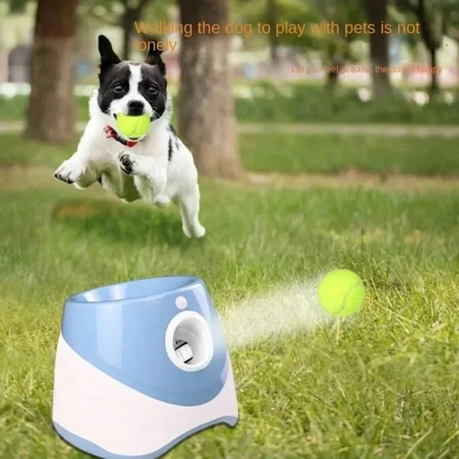 Hundesprint – Interaktiver Ballwerfer mit Wurfanpassung