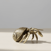 Shellora - Handgefertigte Messing Einsiedlerkrebsfigur - Küstlicher Akzent 7