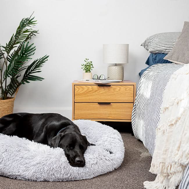 FUZZYPLUSH – Orthopädisches Plüsch-Hundebett Für Tiefen Schlaf
