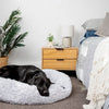 FUZZYPLUSH – Orthopädisches Plüsch-Hundebett Für Tiefen Schlaf