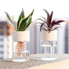 Botania - Einfacher Und Schicker Blumentopf