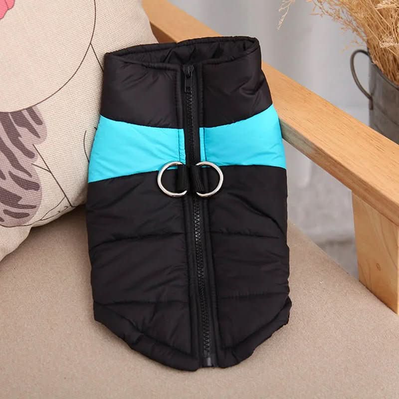Schweifwärme – Winterjacke Für Hunde Mit Schutz & Komfort