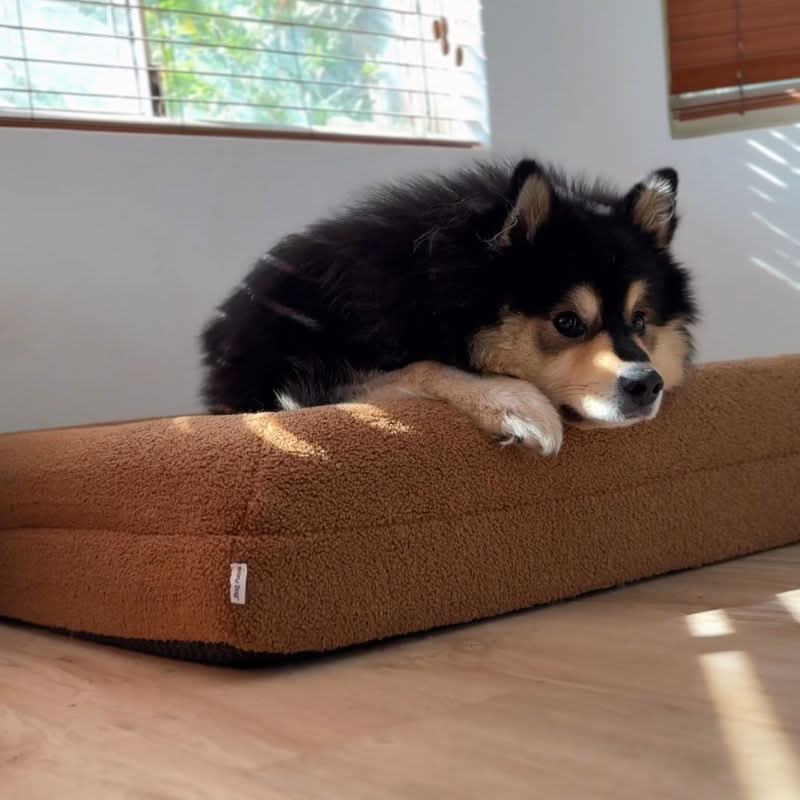 COZYCLOUD – Orthopädisches Gedächtnis-Schaum Hundebett für tiefen & erholsamen Schlaf