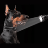 LEAZO - Ortungsetikett Hundehalsband