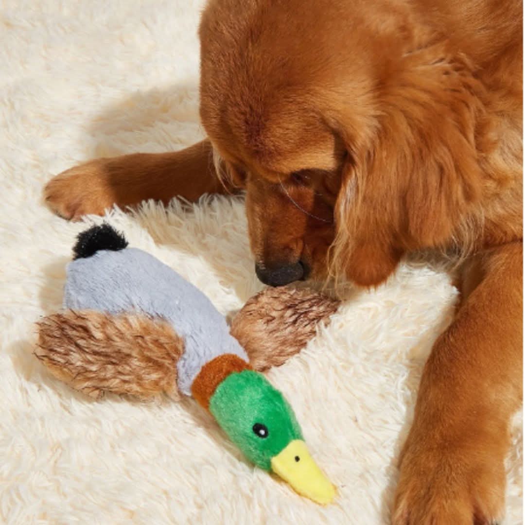 Chewdle - Plüsch-Entenspielzeug