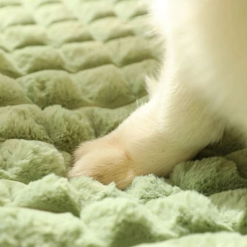 PAWCLOUD - Waschbares Weiches Hundebett