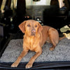 FURLINE - Türmatte für Hunde