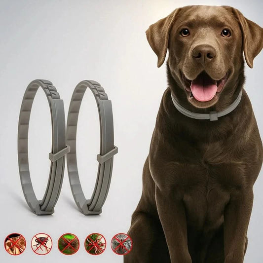 Blitzschild Halsband – Pflanzliches Floh- & Zeckenschutz-Halsband Für Hunde & Katzen