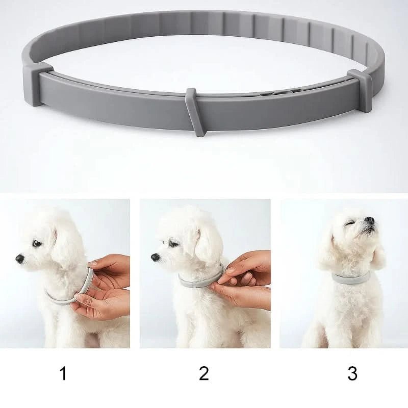 Blitzschild Halsband – Pflanzliches Floh- & Zeckenschutz-Halsband Für Hunde & Katzen