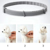 Blitzschild Halsband – Pflanzliches Floh- & Zeckenschutz-Halsband Für Hunde & Katzen