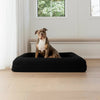 COZYCLOUD – Orthopädisches Gedächtnis-Schaum Hundebett für tiefen & erholsamen Schlaf