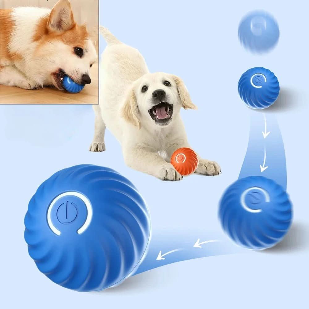 Maxime Joueur – Intelligenter Spielball Mit Automatischer Bewegung Für Aktive Hunde