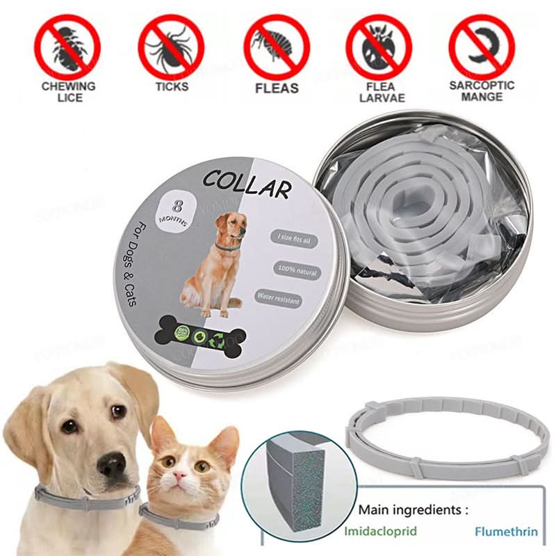 PAWTECT - Anti-Zecke Und Floh Halsband