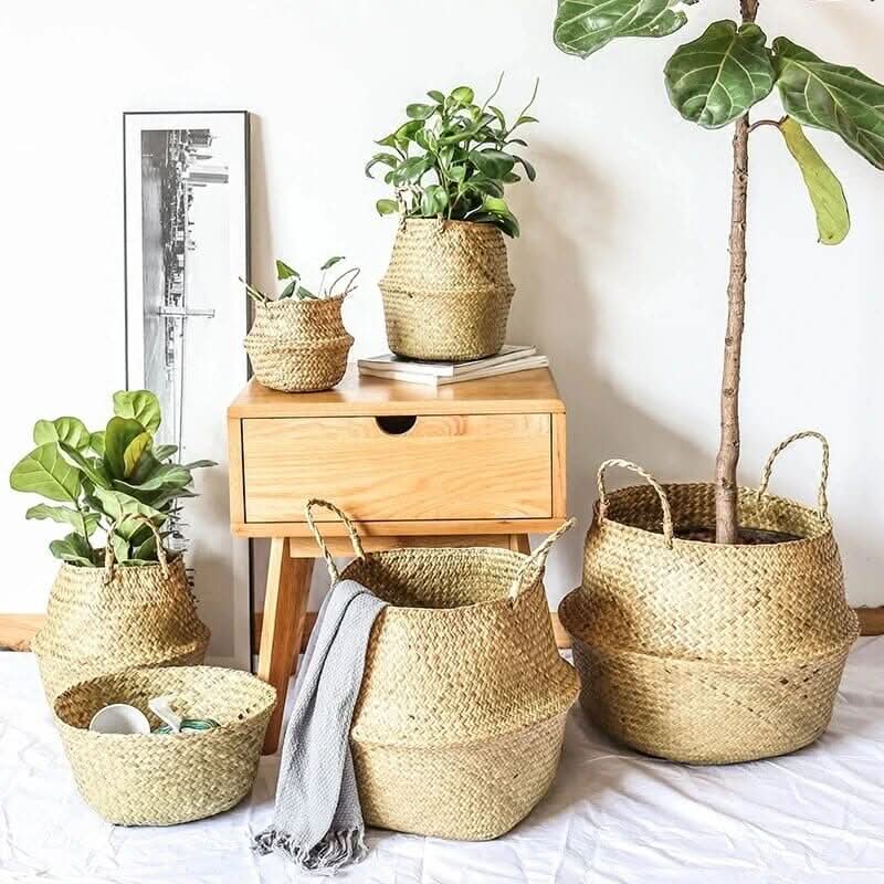 Variant image for 4er-Set (S/M/L/XL)