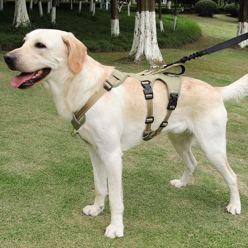 Griffig Hundegeschirr Gegenzug Komfort Sicherheit