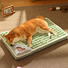 Luxusplüsch – Flauschiges Premium-Hundebett Für Kleine & Mittelgroße Hunde