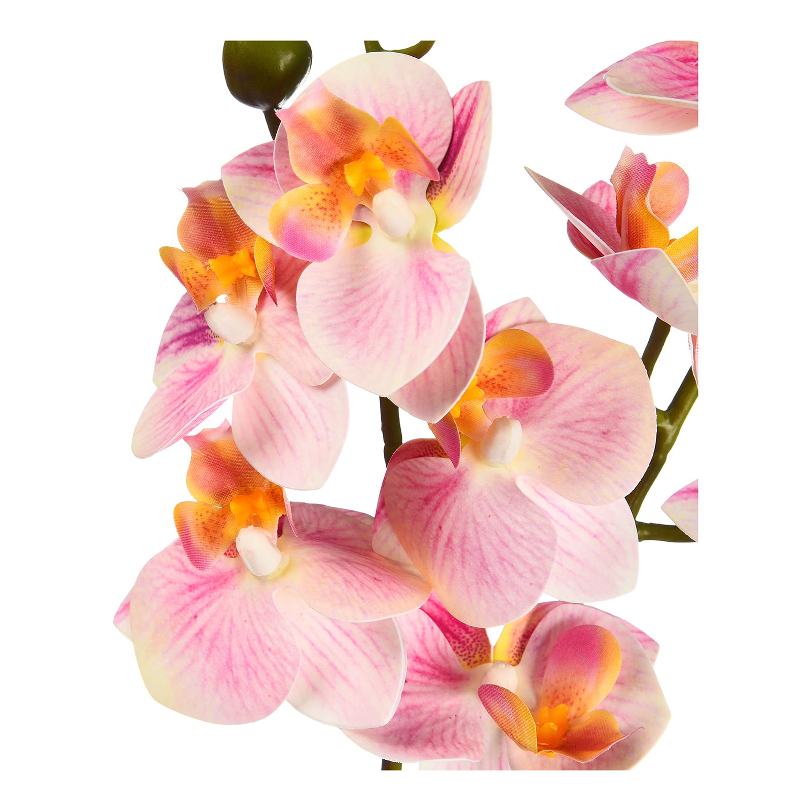 Deko-Set Orchidee mit Vase