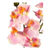 Deko-Set Orchidee mit Vase