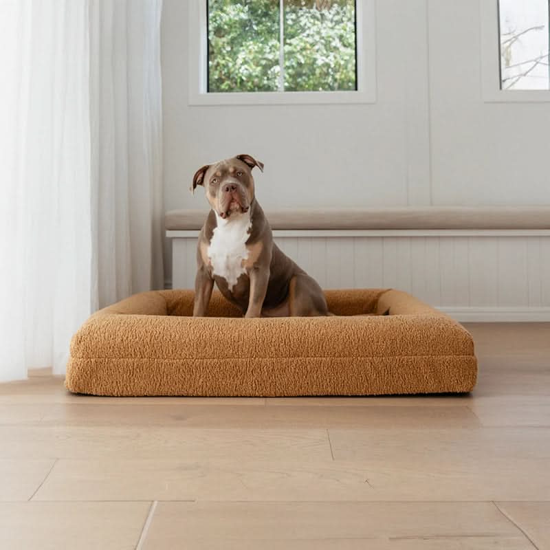 COZYCLOUD – Orthopädisches Gedächtnis-Schaum Hundebett für tiefen & erholsamen Schlaf