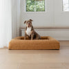 COZYCLOUD – Orthopädisches Gedächtnis-Schaum Hundebett für tiefen & erholsamen Schlaf