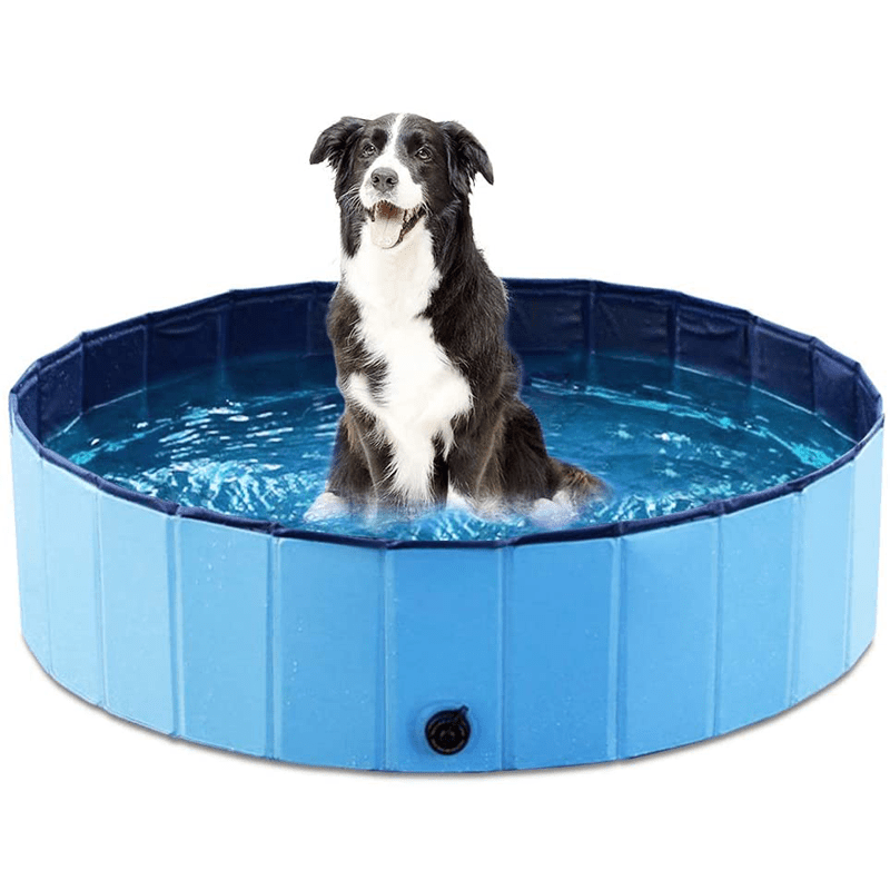 Kühlpfoten – Faltbarer Hundepool Für Erfrischenden Sommerspaß