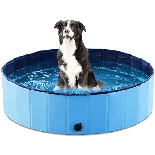Kühlpfoten – Faltbarer Hundepool Für Erfrischenden Sommerspaß