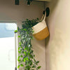 Magnetic hook SPOT incl. 3M pad BLACK