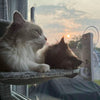 PAWPERCH – Faltbare Fenster-Hängematte Für Katzen Mit Aussicht & Komfort