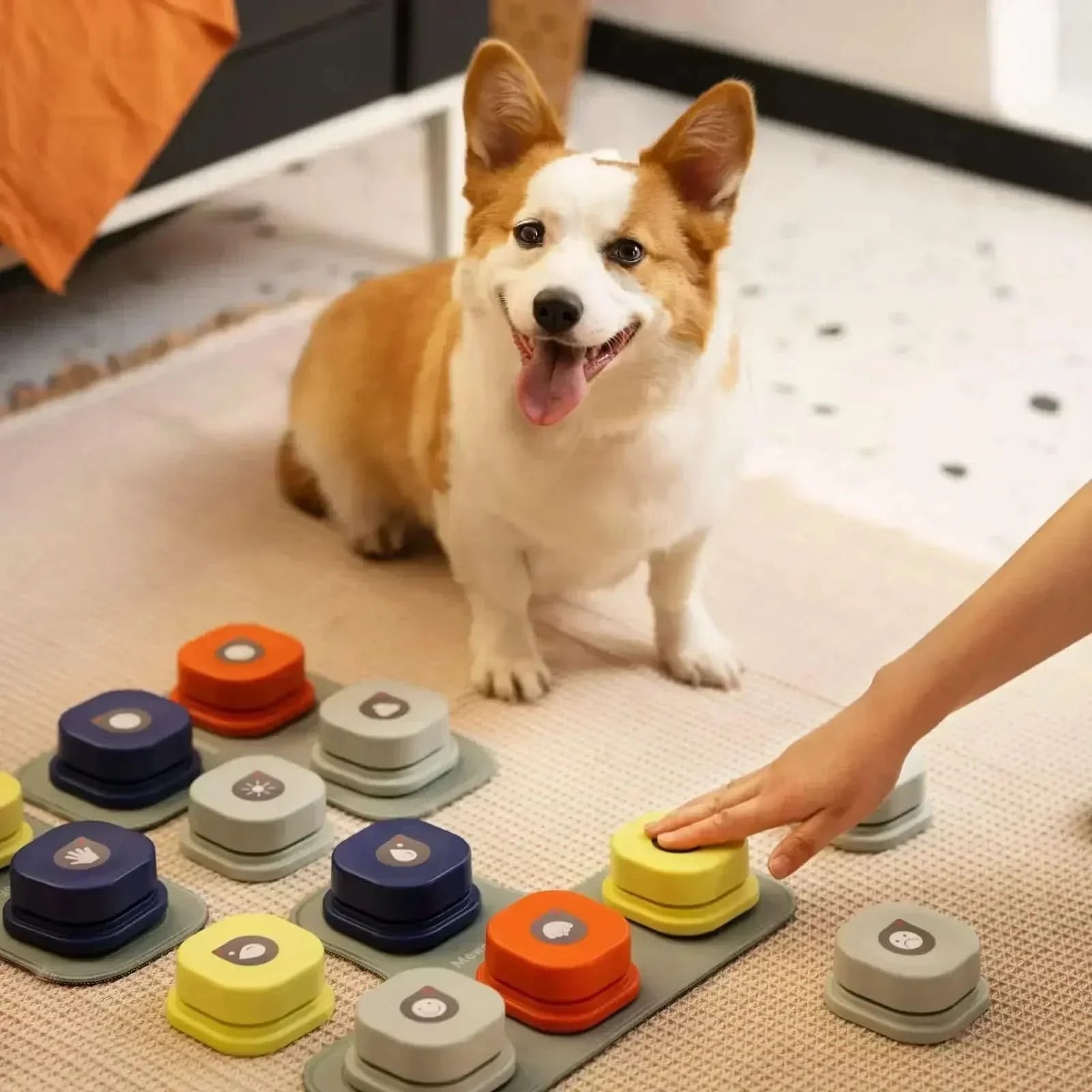BellenGespräch – Interaktive Sprach-Tasten für spielerische Hundekommunikation