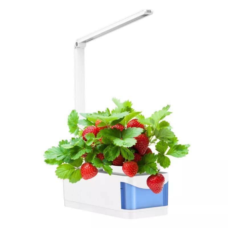 SMARTSPROUT - Innen Kräutergarten