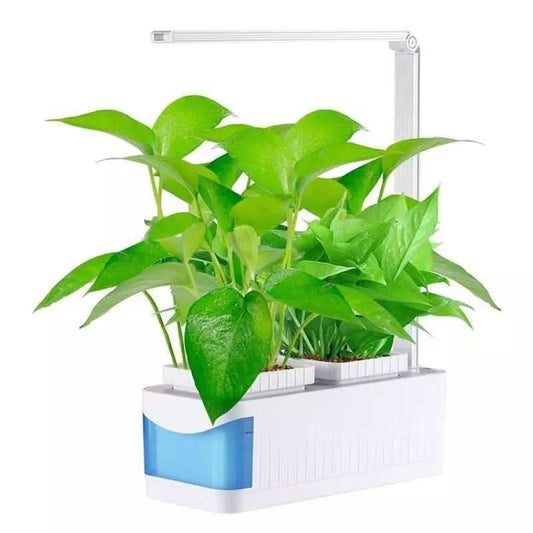 SMARTSPROUT - Innen Kräutergarten