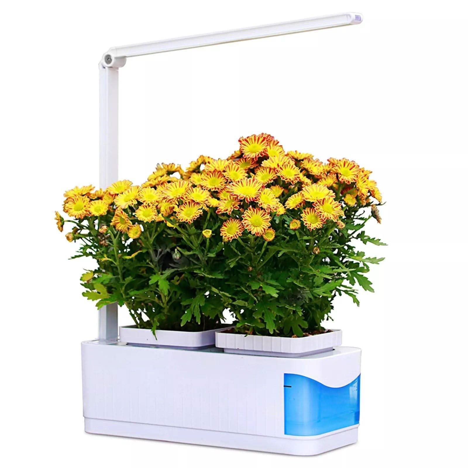 SMARTSPROUT - Innen Kräutergarten