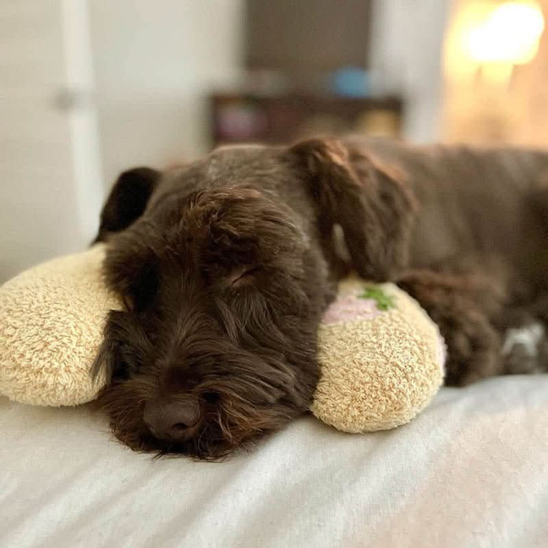 PETEASE Luxus – Orthopädisches Hundekissen Gegen Stress Und Gelenkschmerzen