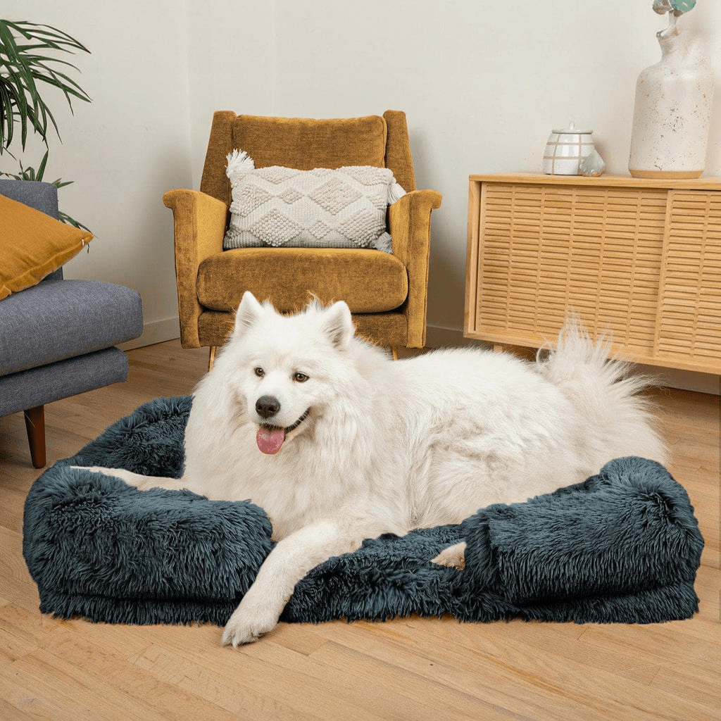 SNUGPAW - Orthopädisches Hundebett