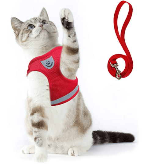 Abenteuer Geschirr – Ausbruchsicheres Katzengeschirr mit Leine & Reflektierenden Elementen