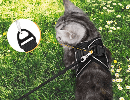 Abenteuer Geschirr – Ausbruchsicheres Katzengeschirr mit Leine & Reflektierenden Elementen