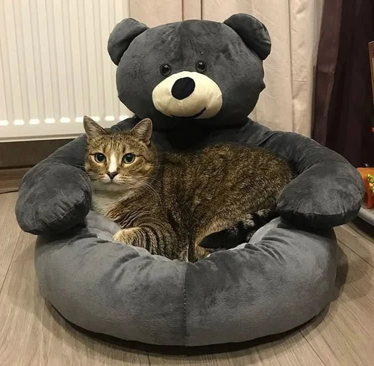 SAMIYA Katze Bett – Rundes Kuschelbett Für Geborgenen Katzenschlaf