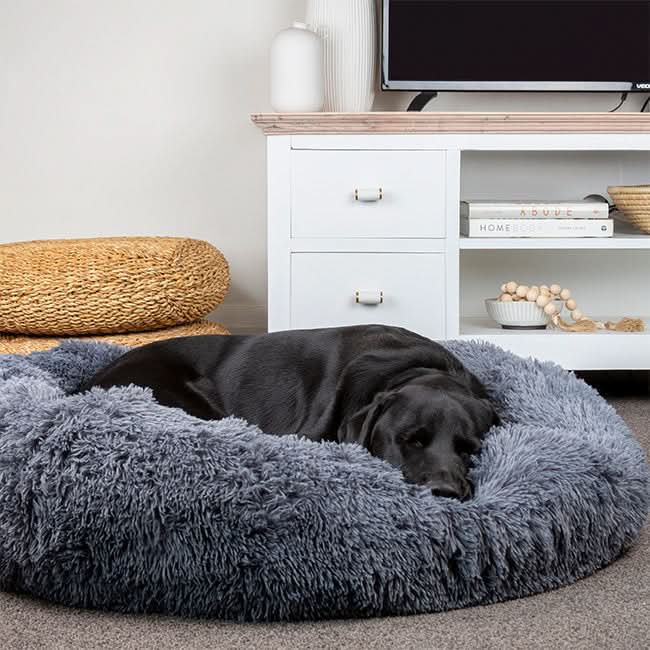 FUZZYPLUSH – Orthopädisches Plüsch-Hundebett Für Tiefen Schlaf