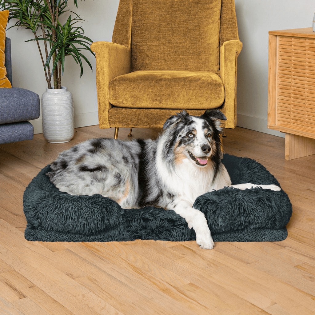 SNUGPAW - Orthopädisches Hundebett
