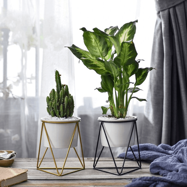 LIVIA – Eleganter Blumentopf Für Stilvolle Dekoration