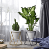 LIVIA – Eleganter Blumentopf Für Stilvolle Dekoration
