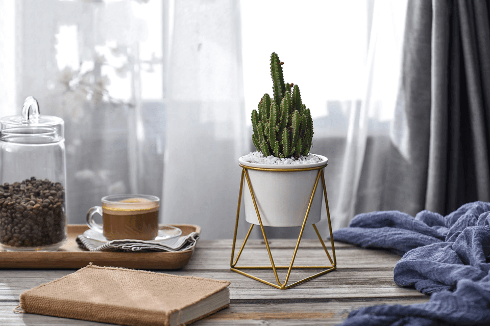 LIVIA – Eleganter Blumentopf Für Stilvolle Dekoration