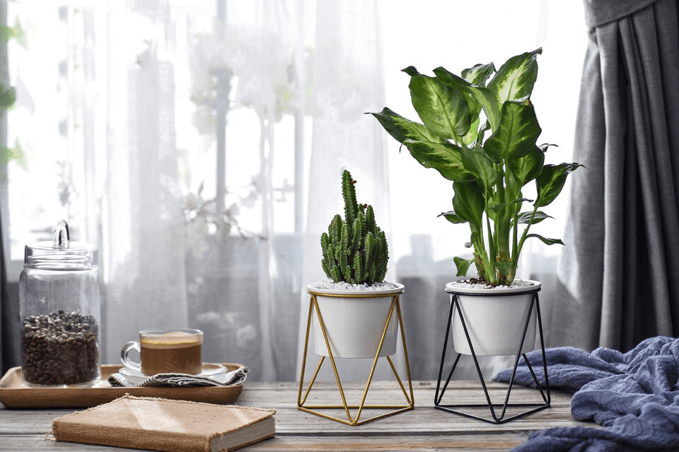 LIVIA – Eleganter Blumentopf Für Stilvolle Dekoration