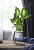 LIVIA – Eleganter Blumentopf Für Stilvolle Dekoration