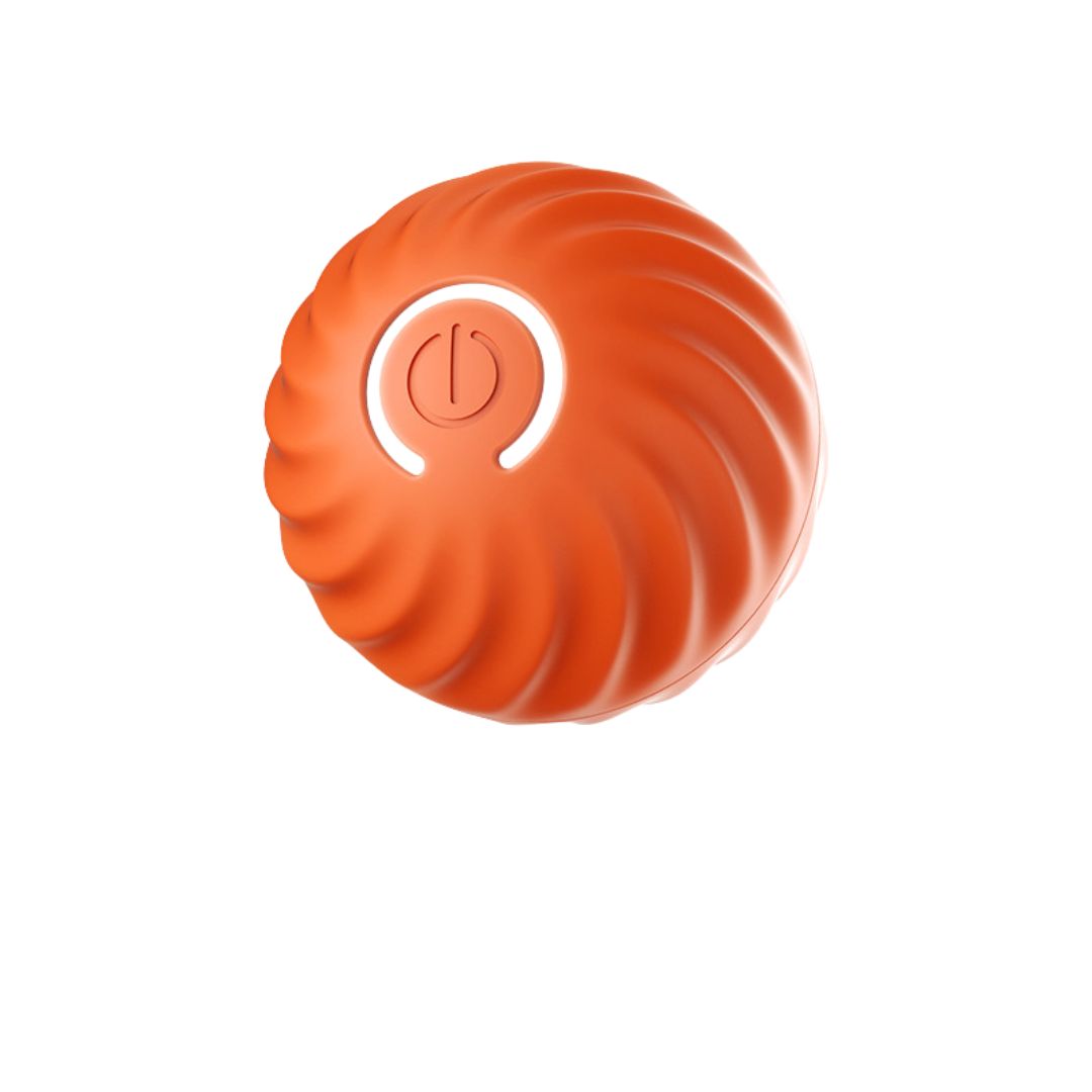 Interaktiver Springball für Hunde