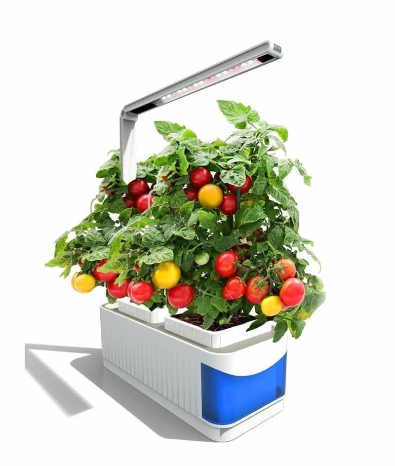 SMARTSPROUT - Innen Kräutergarten