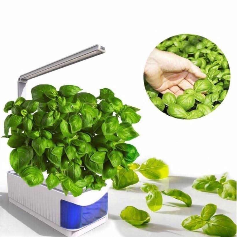 SMARTSPROUT - Innen Kräutergarten