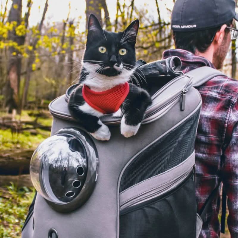 CATTREKKER – Faltbare Katzenreistasche mit Panoramafenster für Stressfreies Reisen