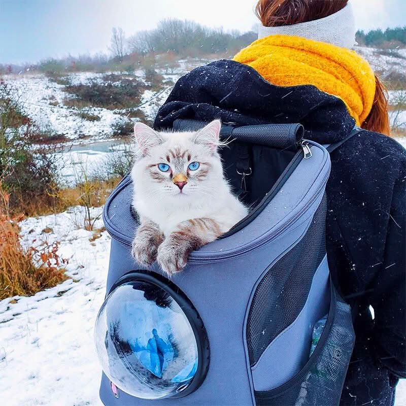 CATTREKKER – Faltbare Katzenreistasche mit Panoramafenster für Stressfreies Reisen